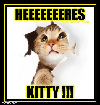 HEEEEEEERES KITTY !!! | image tagged in here's kitty | made w/ Imgflip meme maker