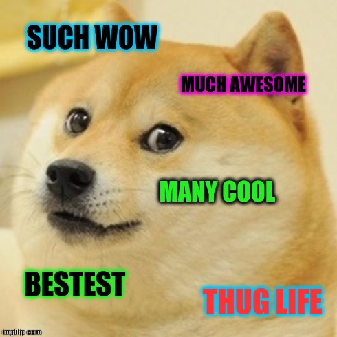 Doge Meme | SUCH WOW MUCH AWESOME MANY COOL BESTEST THUG LIFE | image tagged in memes,doge | made w/ Imgflip meme maker