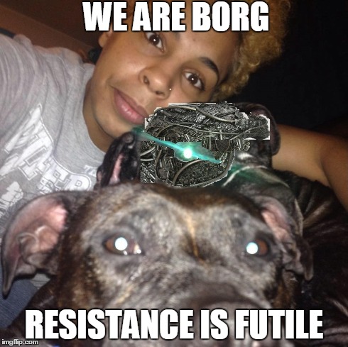 WE ARE BORG RESISTANCE IS FUTILE | image tagged in memes,toni,foy,star trek,borg,dog | made w/ Imgflip meme maker