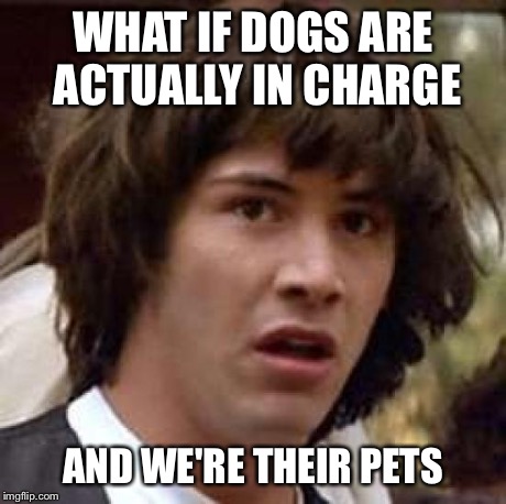 Conspiracy Keanu | WHAT IF DOGS ARE ACTUALLY IN CHARGE AND WE'RE THEIR PETS | image tagged in memes,conspiracy keanu | made w/ Imgflip meme maker