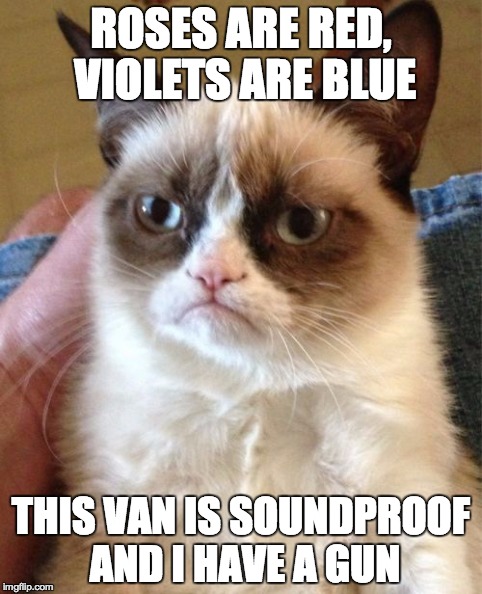 Grumpy Cat | ROSES ARE RED, VIOLETS ARE BLUE THIS VAN IS SOUNDPROOF AND I HAVE A GUN | image tagged in memes,grumpy cat | made w/ Imgflip meme maker