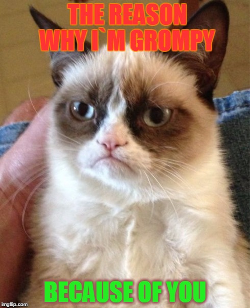 Grumpy Cat | THE REASON WHY I`M GROMPY BECAUSE OF YOU | image tagged in memes,grumpy cat | made w/ Imgflip meme maker