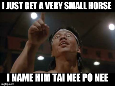 Chong Li say... | I JUST GET A VERY SMALL HORSE I NAME HIM TAI NEE PO NEE | image tagged in funny | made w/ Imgflip meme maker