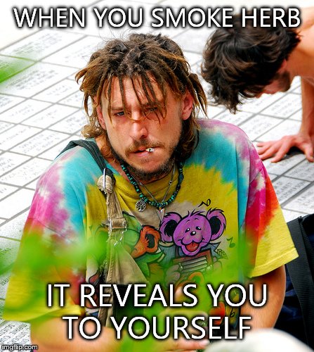 Stoner PhD Meme | WHEN YOU SMOKE HERB IT REVEALS YOU TO YOURSELF | image tagged in memes,stoner phd | made w/ Imgflip meme maker