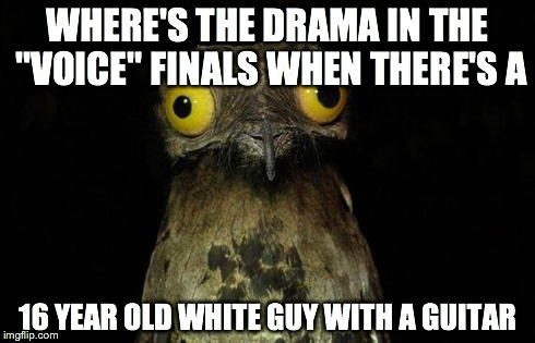Weird Stuff I Do Potoo | WHERE'S THE DRAMA IN THE "VOICE" FINALS WHEN THERE'S A 16 YEAR OLD WHITE GUY WITH A GUITAR | image tagged in memes,weird stuff i do potoo | made w/ Imgflip meme maker