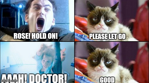 Grumpy Cat Doctor Who 1 | ROSE! HOLD ON! AAAH! DOCTOR! PLEASE LET GO GOOD | image tagged in doctor who,grumpy cat | made w/ Imgflip meme maker