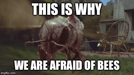 Honey I shrunk the kids | THIS IS WHY WE ARE AFRAID OF BEES | image tagged in bees,fear | made w/ Imgflip meme maker