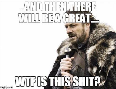 Brace Yourselves X is Coming | ..AND THEN THERE WILL BE A GREAT.... WTF IS THIS SHIT? | image tagged in memes,brace yourselves x is coming | made w/ Imgflip meme maker
