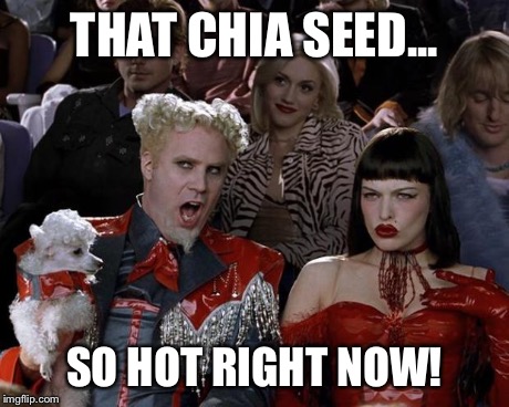 Mugatu So Hot Right Now Meme | THAT CHIA SEED... SO HOT RIGHT NOW! | image tagged in memes,mugatu so hot right now | made w/ Imgflip meme maker