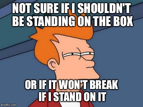 Futurama Fry Meme | NOT SURE IF I SHOULDN'T BE STANDING ON THE BOX OR IF IT WON'T BREAK IF I STAND ON IT | image tagged in memes,futurama fry | made w/ Imgflip meme maker