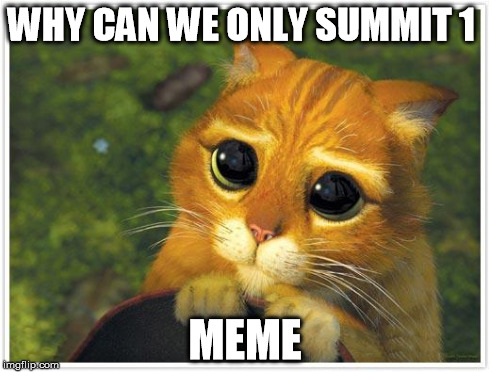 Shrek Cat | WHY CAN WE ONLY SUMMIT 1 MEME | image tagged in memes,shrek cat | made w/ Imgflip meme maker