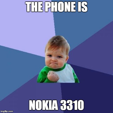 Success Kid Meme | THE PHONE IS NOKIA 3310 | image tagged in memes,success kid | made w/ Imgflip meme maker