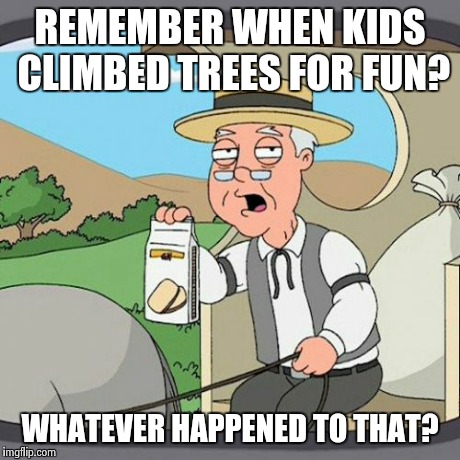 Pepperidge Farm Remembers Meme | REMEMBER WHEN KIDS CLIMBED TREES FOR FUN? WHATEVER HAPPENED TO THAT? | image tagged in memes,pepperidge farm remembers | made w/ Imgflip meme maker