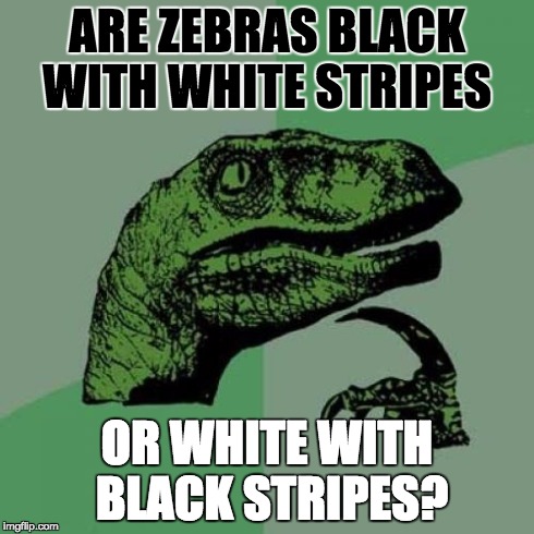 Philosoraptor Meme | ARE ZEBRAS BLACK WITH WHITE STRIPES OR WHITE WITH BLACK STRIPES? | image tagged in memes,philosoraptor | made w/ Imgflip meme maker