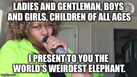 Glozell Kylie Jenner Lip Challenge | LADIES AND GENTLEMAN, BOYS AND GIRLS, CHILDREN OF ALL AGES I PRESENT TO YOU THE WORLD'S WEIRDEST ELEPHANT. | image tagged in glozell kylie jenner lip challenge | made w/ Imgflip meme maker