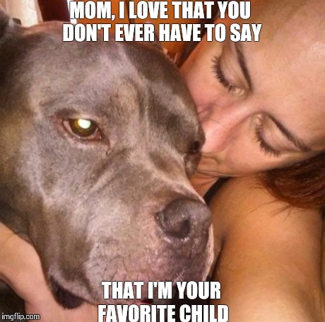 MOM, I LOVE THAT YOU DON'T EVER HAVE TO SAY THAT I'M YOUR FAVORITE CHILD | image tagged in funny dog,pitbull family,the most interesting dog in the world | made w/ Imgflip meme maker
