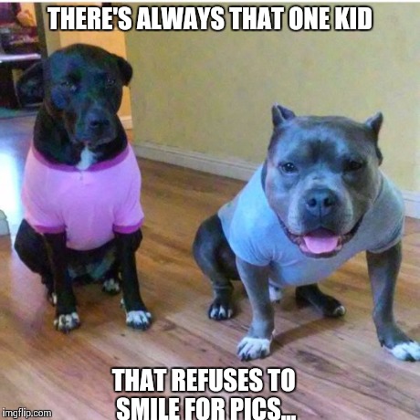 THERE'S ALWAYS THAT ONE KID THAT REFUSES TO SMILE FOR PICS... | image tagged in grumpy dog | made w/ Imgflip meme maker