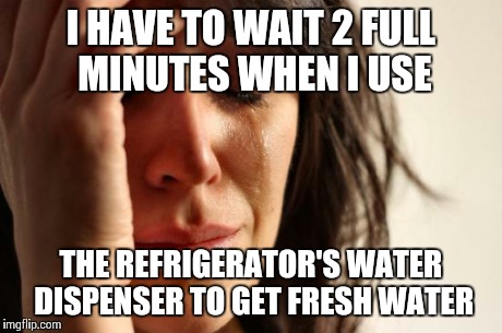 First World Problems Meme | I HAVE TO WAIT 2 FULL MINUTES WHEN I USE THE REFRIGERATOR'S WATER DISPENSER TO GET FRESH WATER | image tagged in memes,first world problems | made w/ Imgflip meme maker