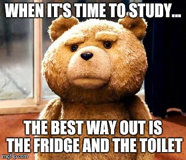 TED Meme | WHEN IT'S TIME TO STUDY... THE BEST WAY OUT IS THE FRIDGE AND THE TOILET | image tagged in memes,ted,studying,toilet,fridge | made w/ Imgflip meme maker