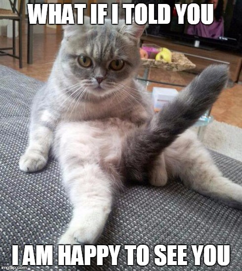Sexy Cat Meme | WHAT IF I TOLD YOU I AM HAPPY TO SEE YOU | image tagged in memes,sexy cat | made w/ Imgflip meme maker