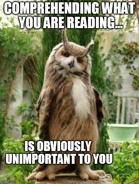 COMPREHENDING WHAT YOU ARE READING... IS OBVIOUSLY UNIMPORTANT TO YOU | image tagged in cool owl | made w/ Imgflip meme maker