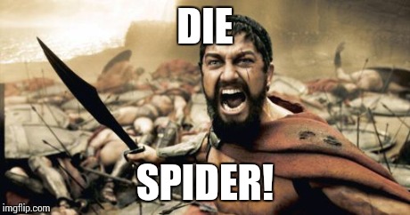 Sparta Leonidas Meme | DIE SPIDER! | image tagged in memes,sparta leonidas | made w/ Imgflip meme maker