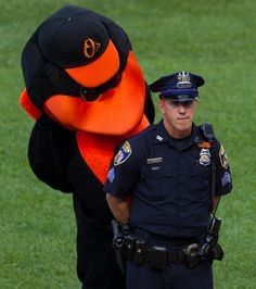 orioles Memes & GIFs - Imgflip