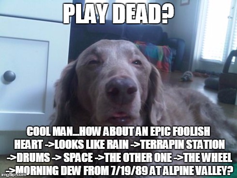 High Dog Meme | PLAY DEAD? COOL MAN...HOW ABOUT AN EPIC FOOLISH HEART ->LOOKS LIKE RAIN ->TERRAPIN STATION ->DRUMS -> SPACE ->THE OTHER ONE ->THE WHEEL ->MO | image tagged in memes,high dog | made w/ Imgflip meme maker