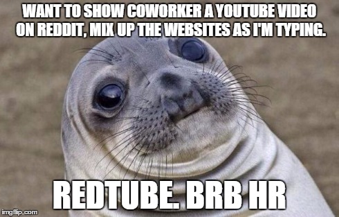 Awkward Moment Sealion Meme | WANT TO SHOW COWORKER A YOUTUBE VIDEO ON REDDIT, MIX UP THE WEBSITES AS I'M TYPING. REDTUBE. BRB HR | image tagged in memes,awkward moment sealion,AdviceAnimals | made w/ Imgflip meme maker