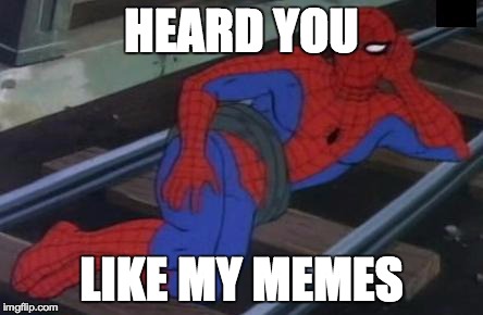 Sexy Railroad Spiderman | HEARD YOU LIKE MY MEMES | image tagged in memes,sexy railroad spiderman,spiderman | made w/ Imgflip meme maker