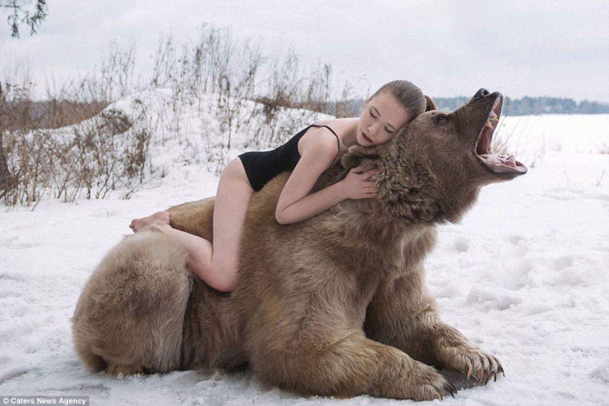 woman hugging a bear Latest Memes - Imgflip