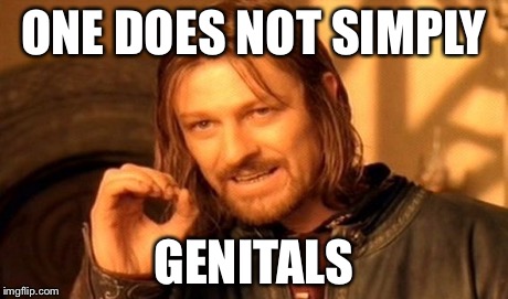 One Does Not Simply | ONE DOES NOT SIMPLY GENITALS | image tagged in memes,one does not simply | made w/ Imgflip meme maker