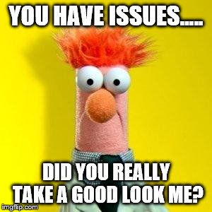 Muppets Meme | YOU HAVE ISSUES..... DID YOU REALLY TAKE A GOOD LOOK ME? | image tagged in muppets meme | made w/ Imgflip meme maker