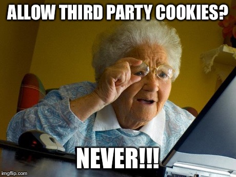 Grandma Finds The Internet Meme | ALLOW THIRD PARTY COOKIES? NEVER!!! | image tagged in memes,grandma finds the internet | made w/ Imgflip meme maker