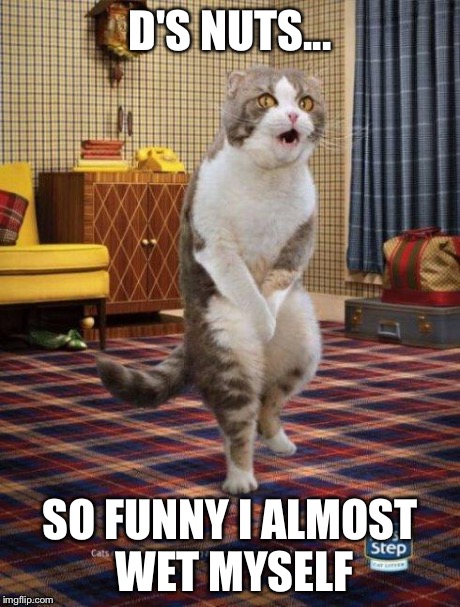 Gotta go cat | D'S NUTS... SO FUNNY I ALMOST WET MYSELF | image tagged in gotta go cat | made w/ Imgflip meme maker