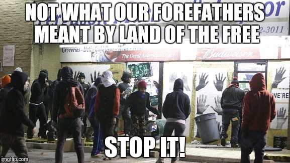 NOT WHAT OUR FOREFATHERS MEANT BY LAND OF THE FREE STOP IT! | image tagged in not free | made w/ Imgflip meme maker