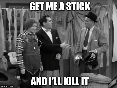 GET ME A STICK AND I'LL KILL IT | image tagged in ricky ricardo | made w/ Imgflip meme maker