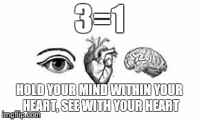 You have a heart for a reason.... | 3=1 HOLD YOUR MIND WITHIN YOUR HEART, SEE WITH YOUR HEART | image tagged in heart,mind,eye,unity | made w/ Imgflip meme maker