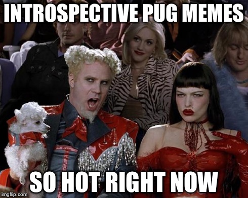 Anyone else notice this? | INTROSPECTIVE PUG MEMES SO HOT RIGHT NOW | image tagged in memes,mugatu so hot right now | made w/ Imgflip meme maker