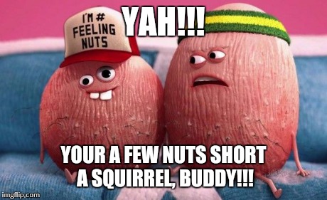 nuts short  | YAH!!! YOUR A FEW NUTS SHORT A SQUIRREL, BUDDY!!! | image tagged in nuts short | made w/ Imgflip meme maker