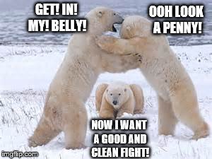 Bears Wrestling | NOW I WANT A GOOD AND CLEAN FIGHT! GET! IN! MY! BELLY! OOH LOOK A PENNY! | image tagged in bears,wrestling,meme,funny | made w/ Imgflip meme maker