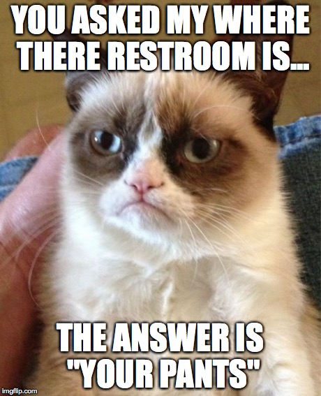Grumpy Cat | YOU ASKED MY WHERE THERE RESTROOM IS... THE ANSWER IS "YOUR PANTS" | image tagged in memes,grumpy cat | made w/ Imgflip meme maker