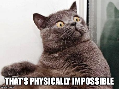 surprised cat | THAT'S PHYSICALLY IMPOSSIBLE | image tagged in surprised cat | made w/ Imgflip meme maker