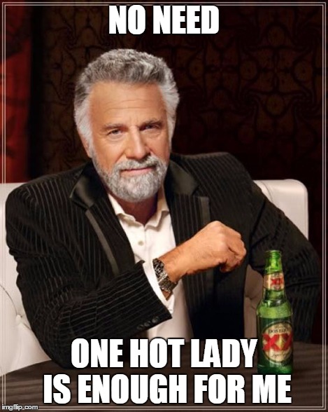 The Most Interesting Man In The World Meme | NO NEED ONE HOT LADY IS ENOUGH FOR ME | image tagged in memes,the most interesting man in the world | made w/ Imgflip meme maker