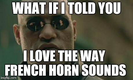 Matrix Morpheus Meme | WHAT IF I TOLD YOU I LOVE THE WAY FRENCH HORN SOUNDS | image tagged in memes,matrix morpheus | made w/ Imgflip meme maker