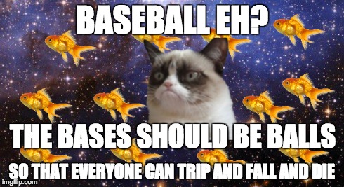 Grumpy Cat #4 | BASEBALL EH? SO THAT EVERYONE CAN TRIP AND FALL AND DIE THE BASES SHOULD BE BALLS | image tagged in grumpy cat | made w/ Imgflip meme maker