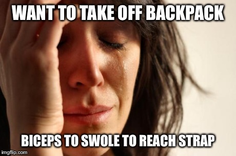 First World Problems Meme | WANT TO TAKE OFF BACKPACK BICEPS TO SWOLE TO REACH STRAP | image tagged in memes,first world problems | made w/ Imgflip meme maker