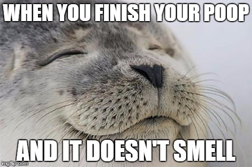 Satisfied Seal | WHEN YOU FINISH YOUR POOP AND IT DOESN'T SMELL | image tagged in memes,satisfied seal,AdviceAnimals | made w/ Imgflip meme maker