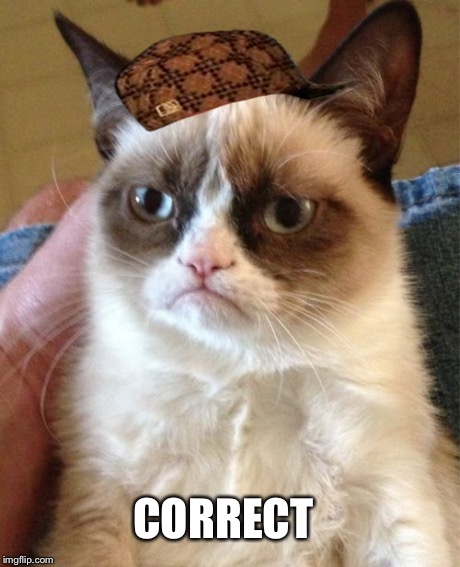Grumpy Cat Meme | CORRECT | image tagged in memes,grumpy cat,scumbag | made w/ Imgflip meme maker