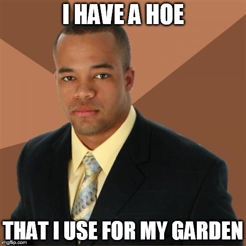 Successful Black Man | I HAVE A HOE THAT I USE FOR MY GARDEN | image tagged in memes,successful black man | made w/ Imgflip meme maker